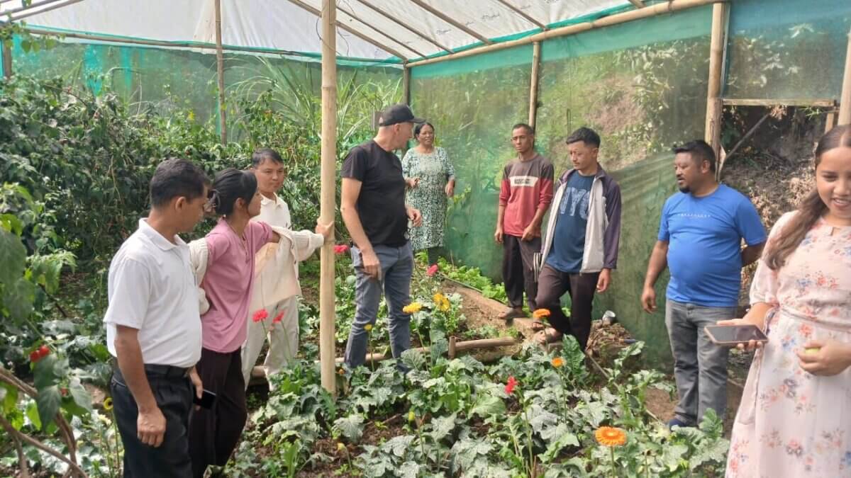 Sundarban Dreams flower cultivation India