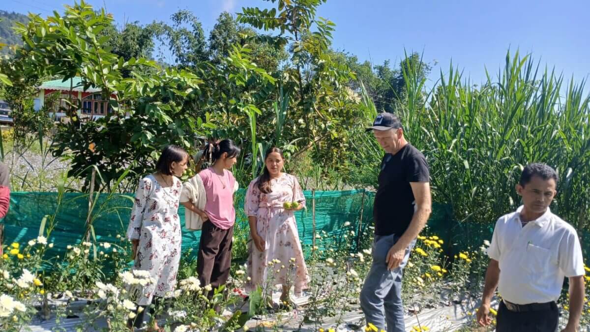 Sundarban Dreams flower cultivation India