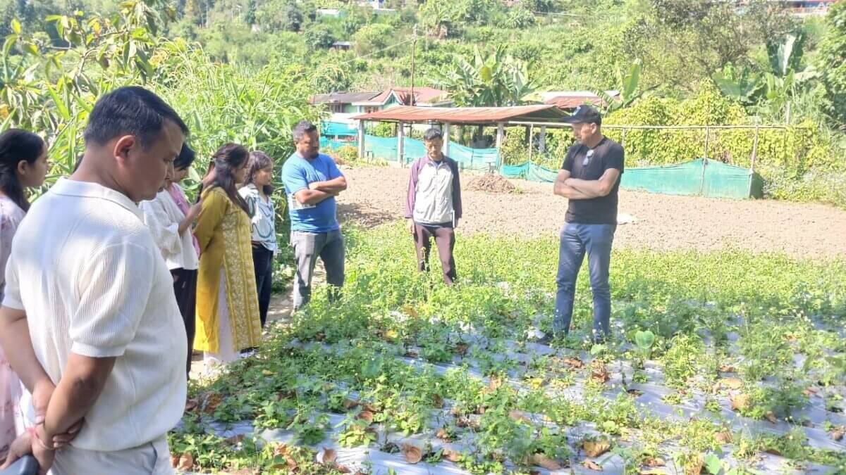 Sundarban Dreams flower cultivation India