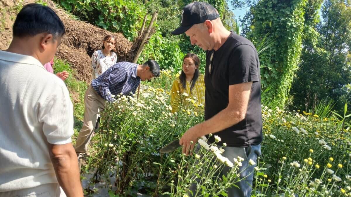 Sundarban Dreams flower cultivation India