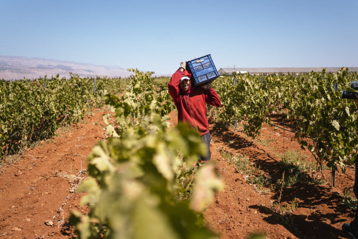 Chateau Heritage reinvents Lebanese wine