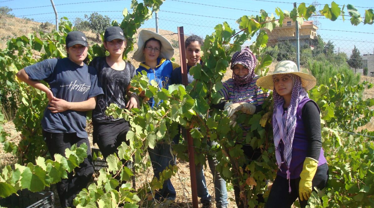 Chateau Heritage reinvents Lebanese wine