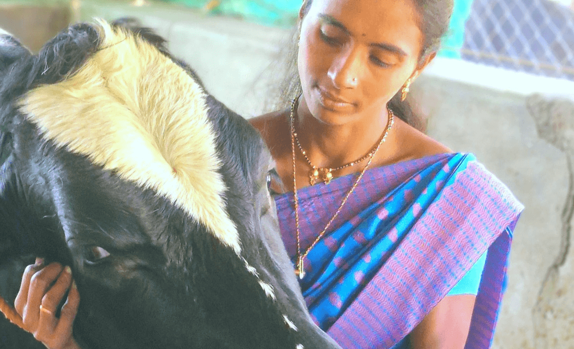 Govind-PUM dairy training programme