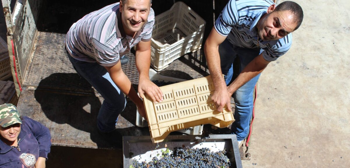 Chateau Heritage reinvents Lebanese wine