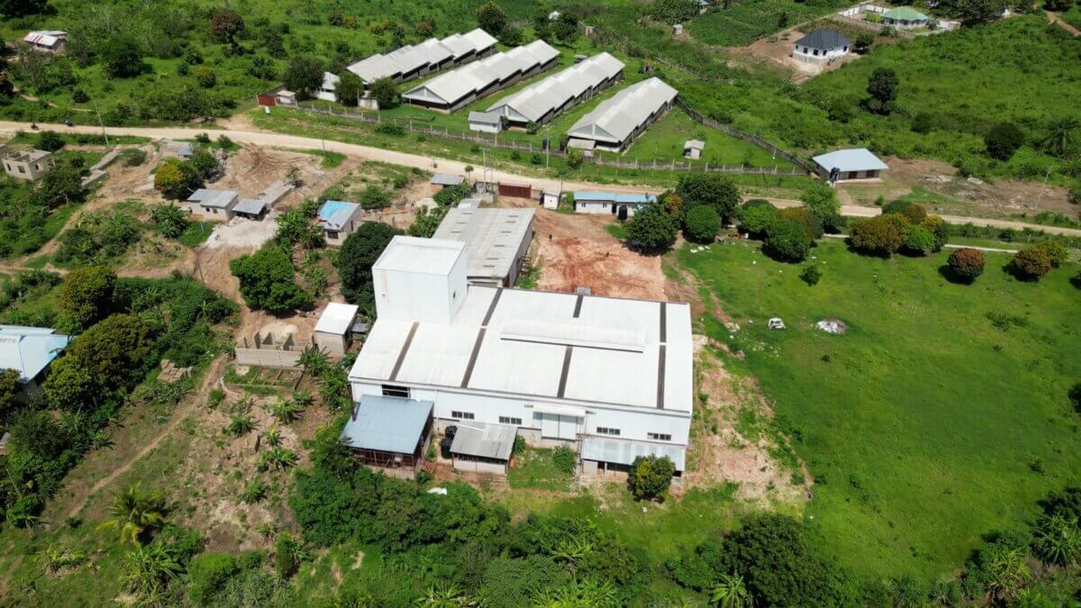 AKM Glitters, Tanzania