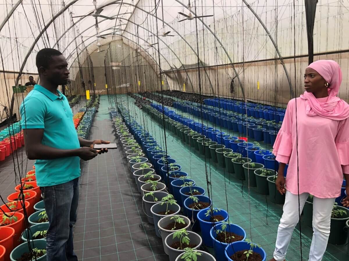 Les Tomates B & B, Benin