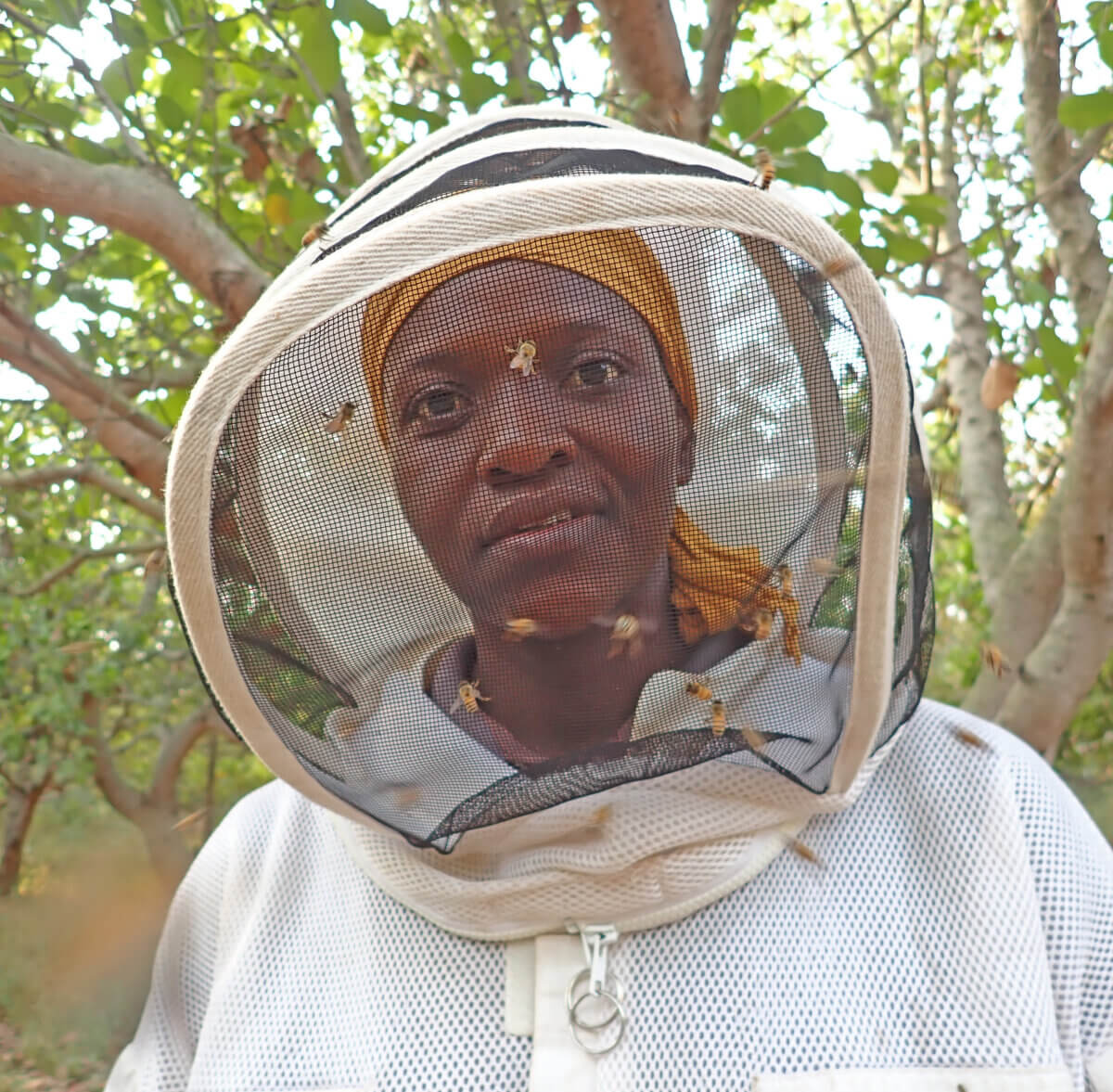 beekeeping